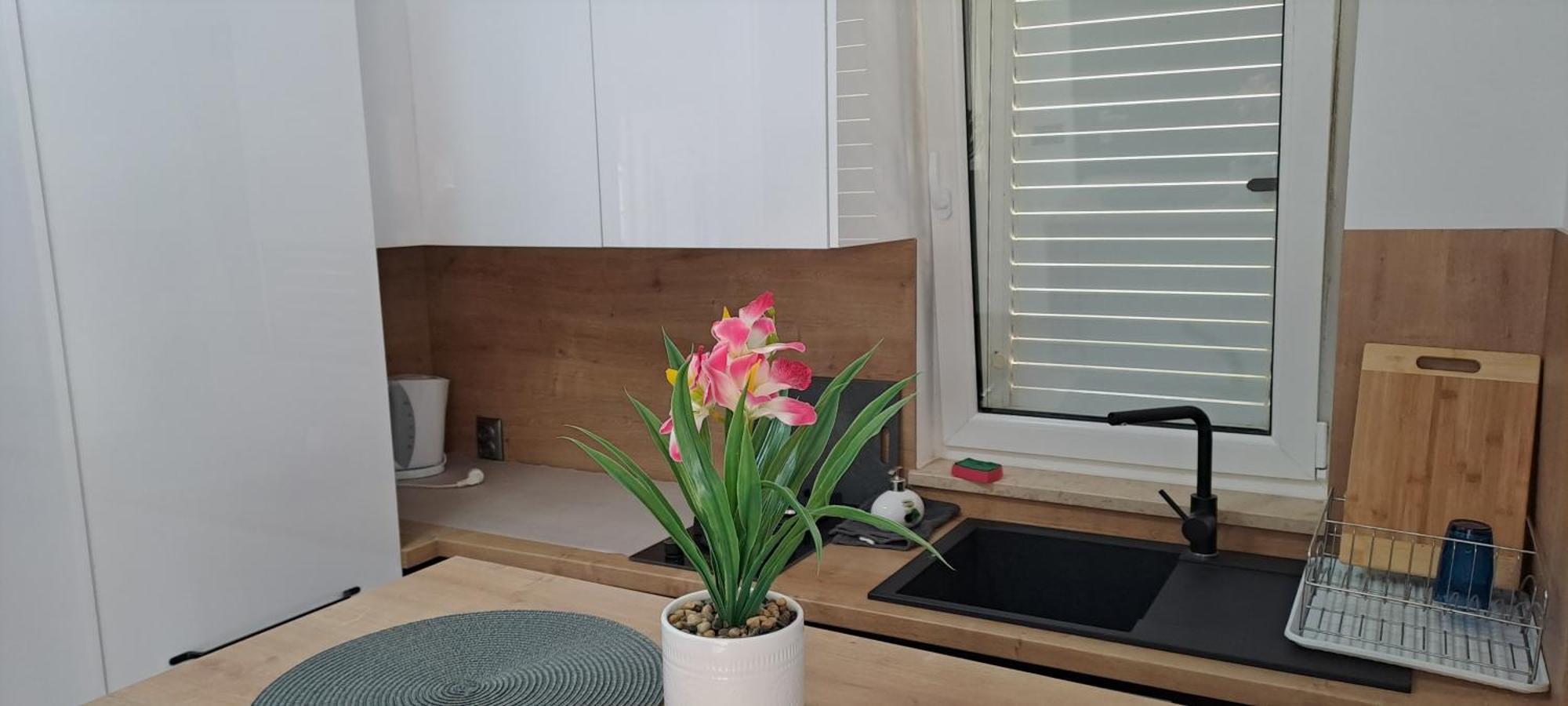 Šišan Apartments Eden מראה חיצוני תמונה